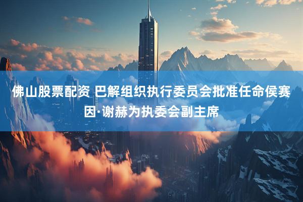 佛山股票配资 巴解组织执行委员会批准任命侯赛因·谢赫为执委会副主席