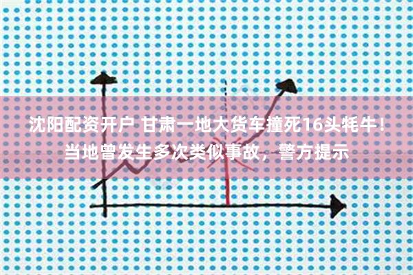 沈阳配资开户 甘肃一地大货车撞死16头牦牛！当地曾发生多次类似事故，警方提示